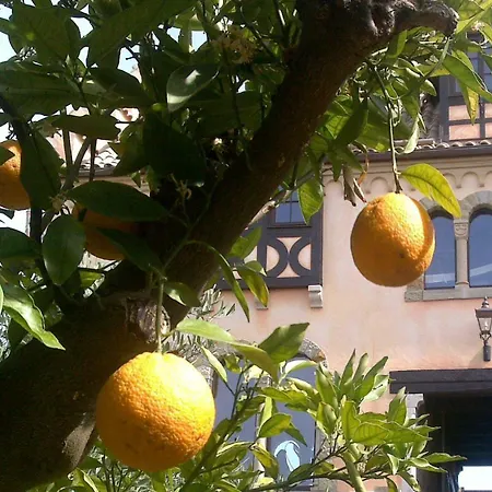 Apartment Turmzimmer Im Rittergut Bei Dresden *